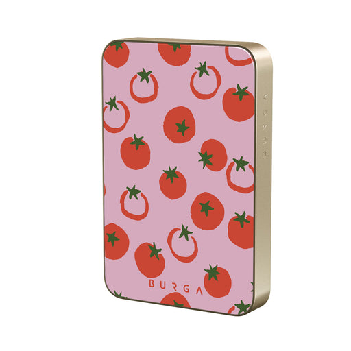 CM_09MS_MagPbank10K-GO