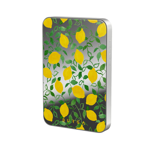 CM_15MS_HALO-MagPbank5K-SI