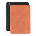 Vintage Edition - Spots iPad Pro 11 (4th/3rd Gen) Case 1